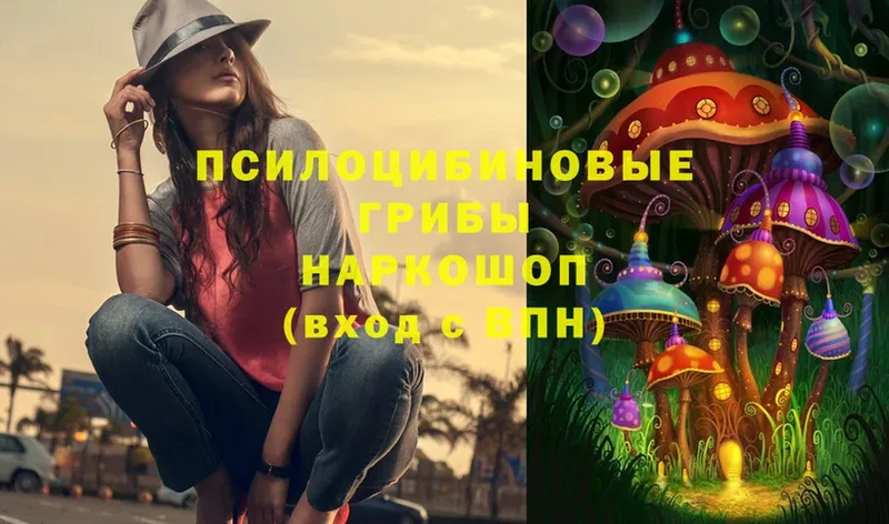 Псилоцибиновые грибы MAGIC MUSHROOMS  Железноводск 